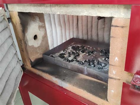Gujarat's first CNG dog crematorium in Ahmedabad | ગુજરાતનું પ્રથમ CNG ...