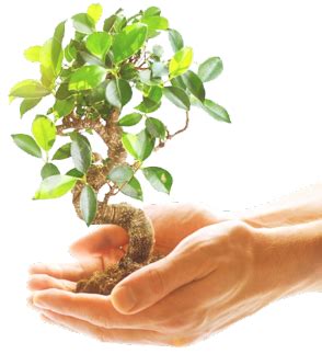 DPS Vindhyanagar - Best School in Vindhyanagar