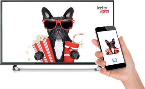 Image result for Como Programar Un Control Izzi