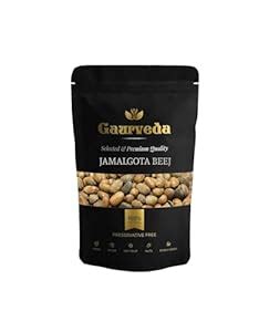 GAURVEDA Jamalgota Seeds - Croton beej- Jamalghota beej ((50 Grams ...