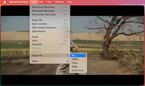 Image result for QuickTime Export Frame