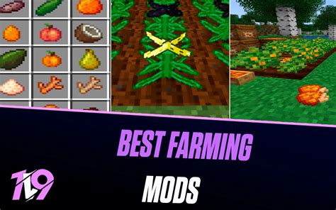 Image result for Best Copy Pre-Built Farm Mod Java Edition