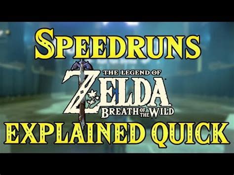 Image result for BOTW Speed Run Tutorial