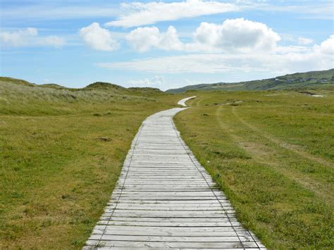 A path to peace: Emotional intelligence paves the way | Meer