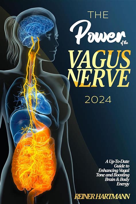 THE POWER OF THE VAGUS NERVE: The Up-To-Date Guide to Enhancing Vagal ...