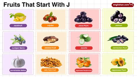 50 Fruits That Start With J Including Tropical & Rare