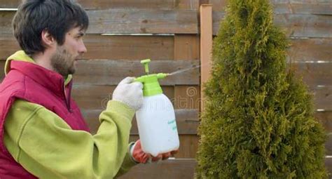 5 Best Watering Cans for Garden in India 2026