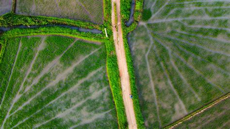 Environment Animated 的图像结果