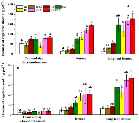 Biochar Blended with Alkaline Mineral Can Better Inhibit Lead and ...