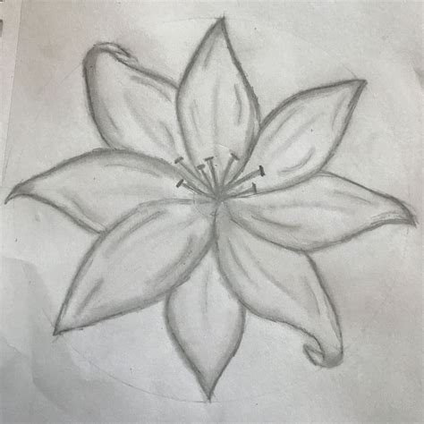 Whispers of the Wind: Flowers Swaying in the Breeze | Nature art ...