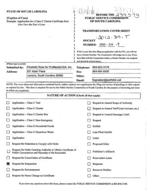 Fillable Online dms psc sc OF SOUH - dms psc sc Fax Email Print - pdfFiller