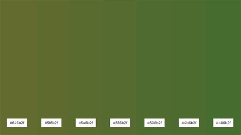 What Color is Dark Olive Green? Meaning, Code & Combinations