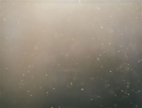 Do At-Home Mold Testing Kits Really Work? - goop