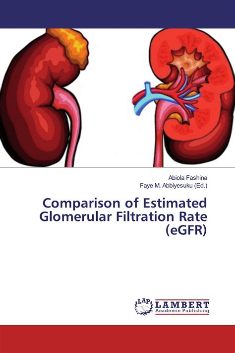Glomerular Filtration Explanation at Jeffery Vaughn blog