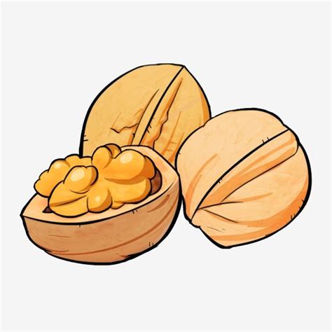 Snacks Nuts Clipart Transparent PNG Hd, Nut Walnut Cartoon Snack, Nut ...