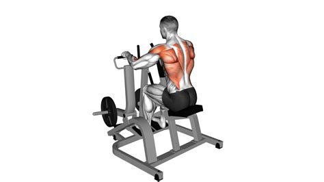 Teres Major Workout - Strengthen And Target Your Muscles Fast ...