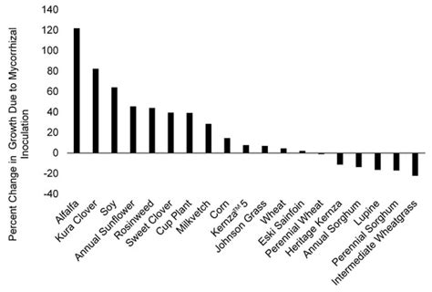 Benefits of Native Mycorrhizal Amendments to Perennial Agroecosystems ...