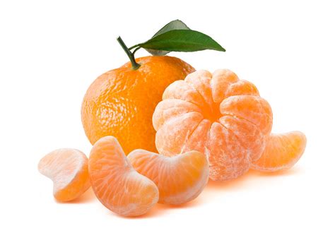 橘子seo网（橘子SEO查的外链能信吗）-优刊号