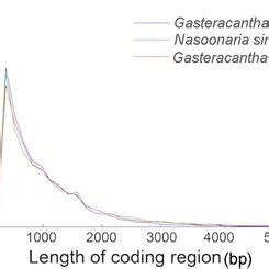 Coding region Function 的图像结果