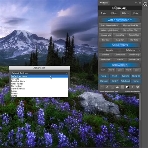 Image result for Pro Panel Tutorial