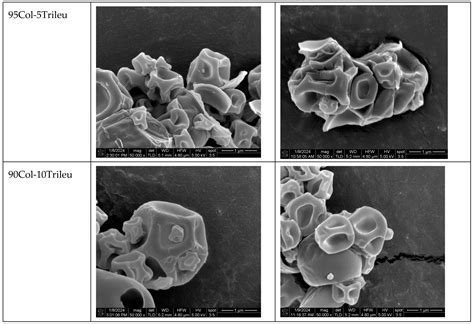 Impact of Co-Spray Drying with Leucine or Trileucine on Aerosol ...