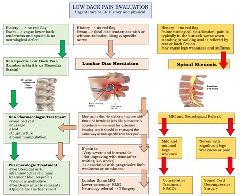 Low Back Pain - Medical Care One