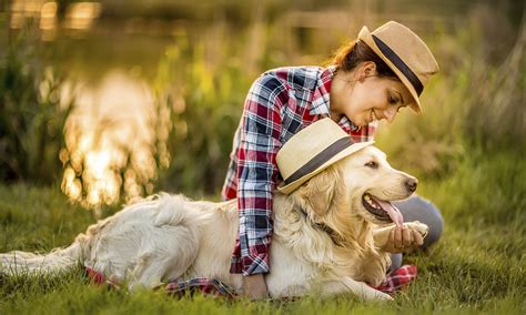 ANIMAL HOSPITAL OF LUBBOCK - Lubbock TX - Hours, Directions, Reviews ...