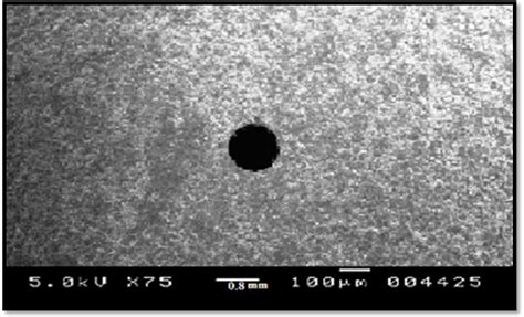 Fig. 4: Scanning electron microscopy (SEM) of delivery orifice