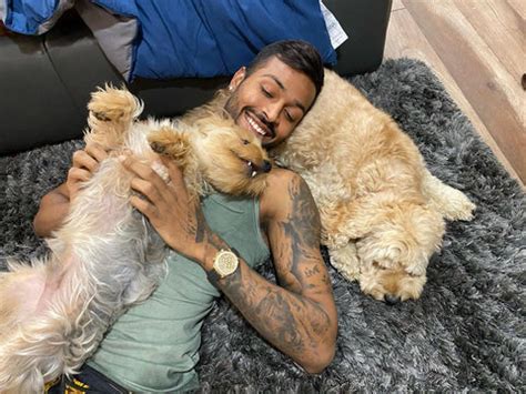IPL - Indian Pup League, Indian Cricketers And Their Love For Dogs ...