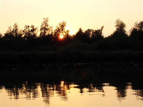 aar's log » Avond in de Biesbosch