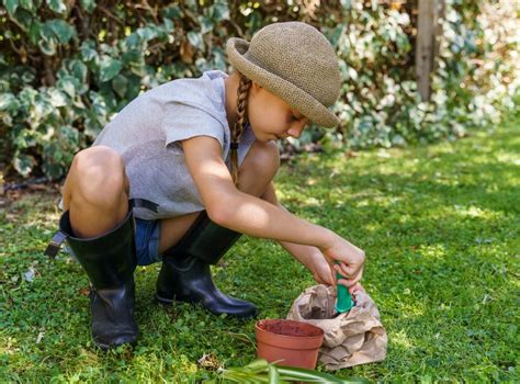 Compost Bagging System 的图像结果