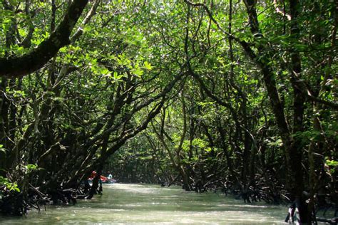 The alluring world of the Andamans | Times of India Travel