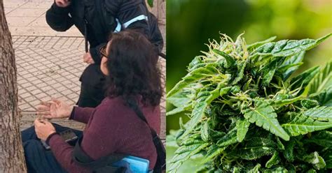 Quedó “volada” con el golpe: mujer fue herida por macetero con planta ...