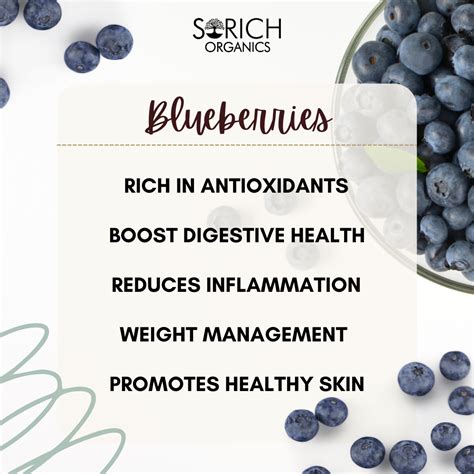 The Incredible Benefits of Blueberries — Sorich