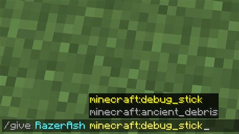 Image result for Debug Stick Commands