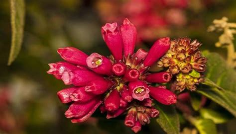 Chettiar Park Tour To Witness A Unique Adventure On Your Next Trip