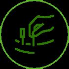 Toronto Acupuncture Clinic | Holistic Health Clinic