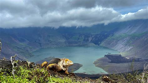 The Islands | Galápagos Conservancy