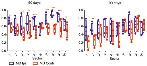 Density of SMI-32 Immunopositive Neurons in Eye-Specific Layers of ...