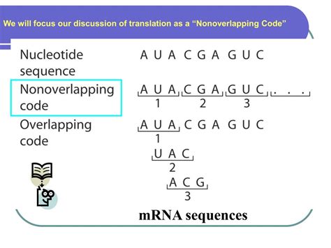 Image result for Translation Genetic Code