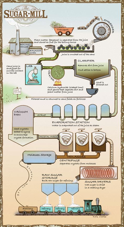 Sugar Manufacturing Process Flow Chart Pdf at Emily Beaudoin blog