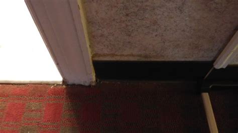 RODEWAY INN (Fairfax) - Motel Reviews, Photos, Rate Comparison ...