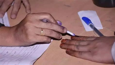 Should There Be Compulsory Voting In Elections? Here's What Delhi HC ...