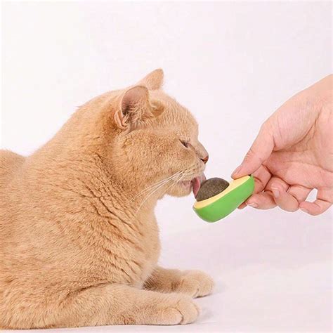 Self-Adhesive Anti-Loss Cat Ball, Licking Chew Lollipop, Cat Toys ...