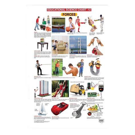 Forces (Early Learning Chart) – Chirukaanuka