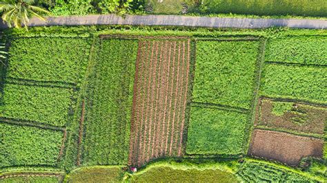 GIS Vertical – ThinkGIS