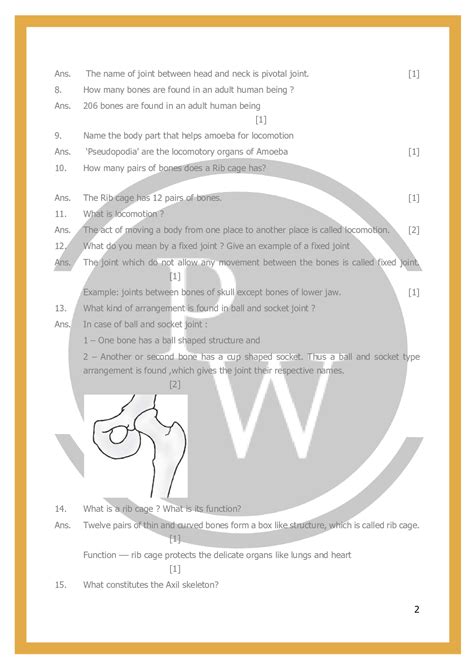 Image result for Science Chapter 8 Body Movements