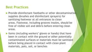 Image result for Basic Stock Control Procedures