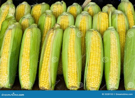 Corn Ears Meaning at Rick Scott blog