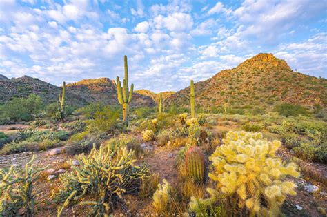 Welcome the Sun | White Tank Mountain Park | Central Arizona | Scott Smorra